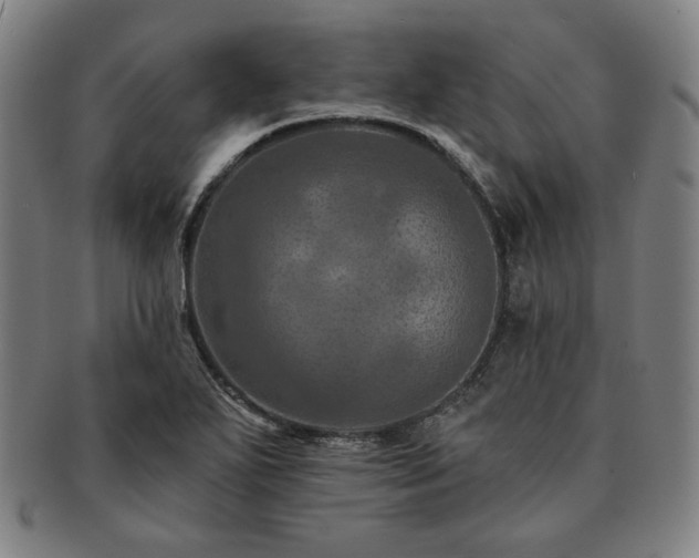 X0000091461271200708231309
