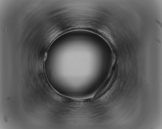 X0000091461273200708231309