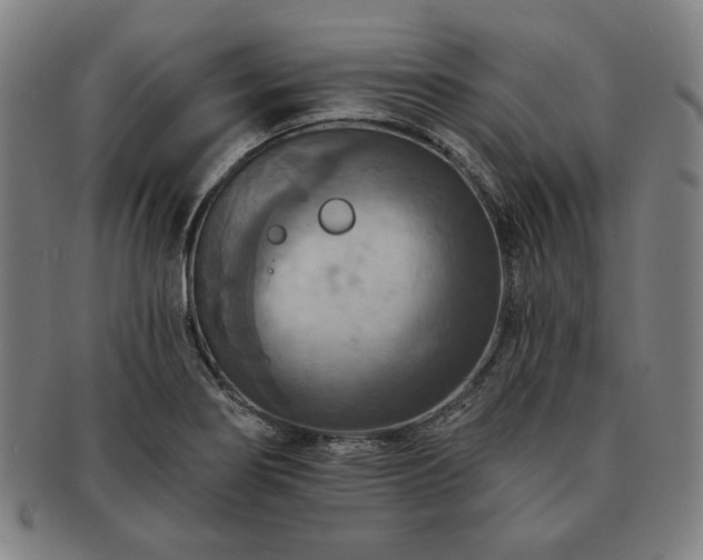 X0000091461274200708231309