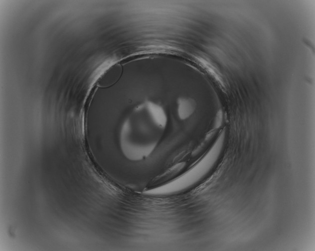 X0000091461275200708231309