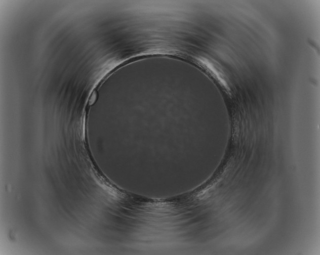 X0000091461276200708231309