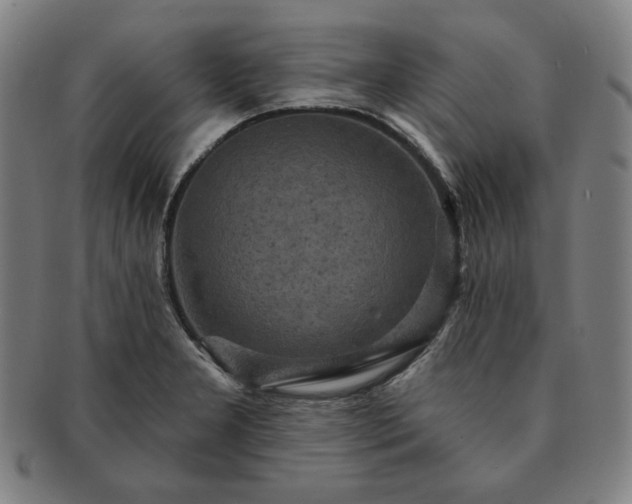 X0000091461277200708231309
