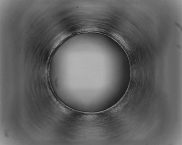X0000091461282200708231309