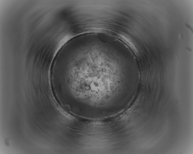 X0000091461283200708231309