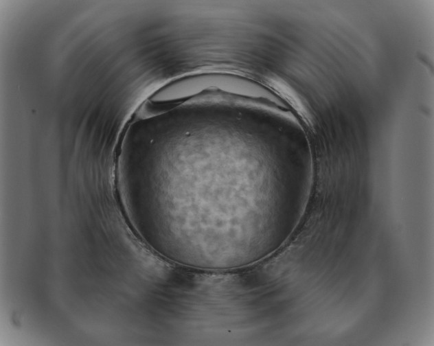 X0000091461284200708231309