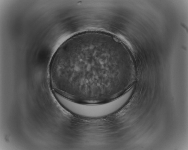 X0000091461287200708231308