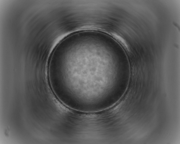X0000091461288200708231308