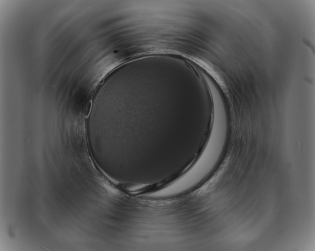 X0000091461289200708231308