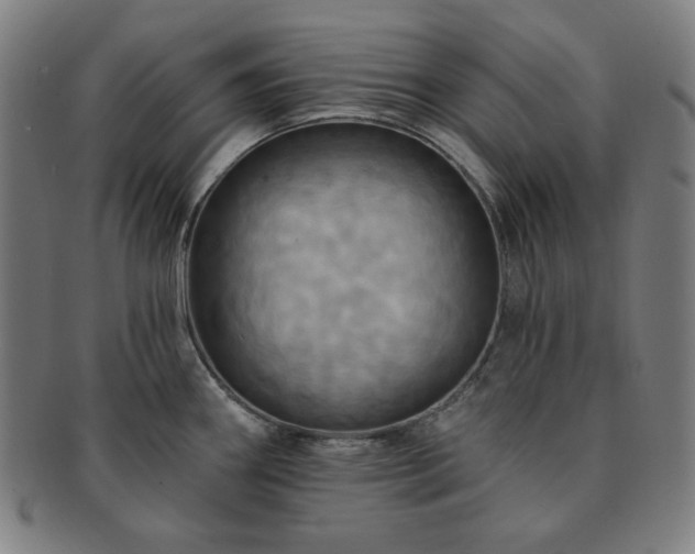 X0000091461290200708231308