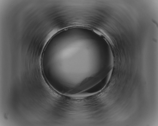 X0000091461291200708231308