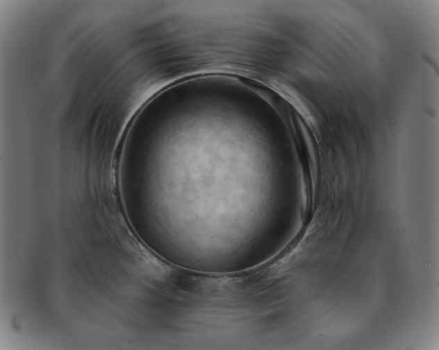 X0000091461292200708231308