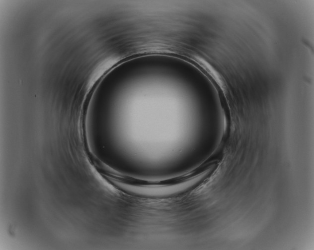 X0000091461293200708231308