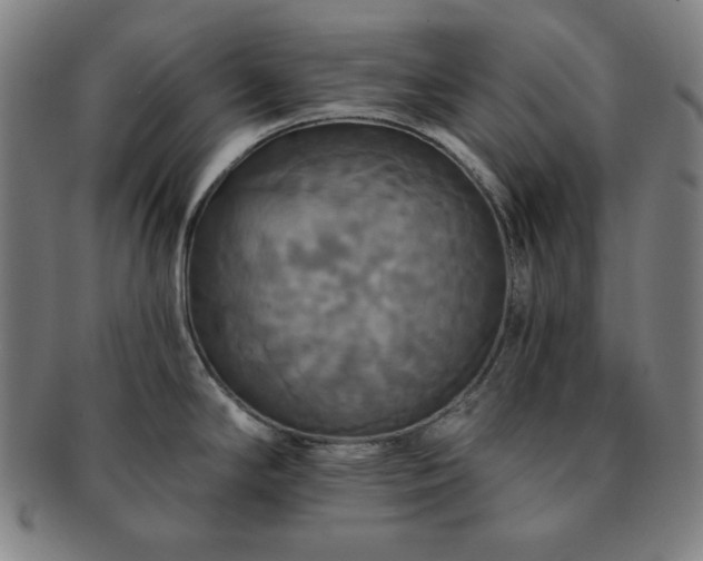X0000091461294200708231308