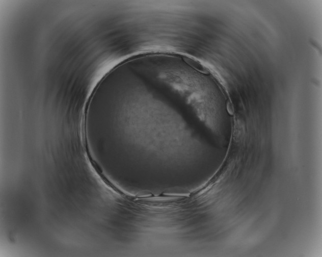 X0000091461295200708231308
