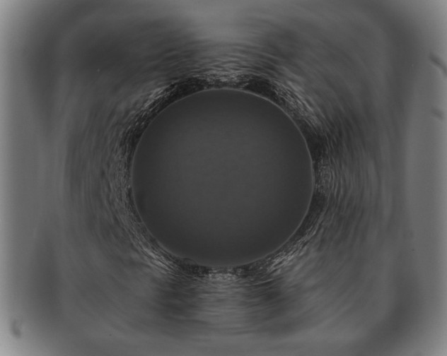 X0000091461297200708231308