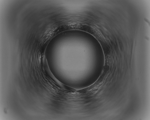 X0000091461298200708231308