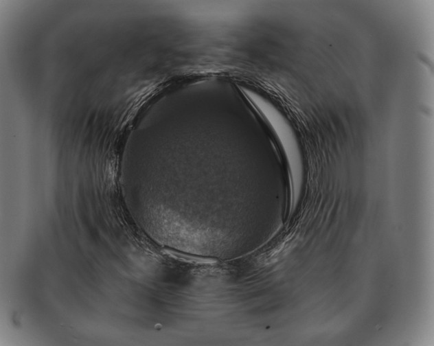 X0000091461300200708231308