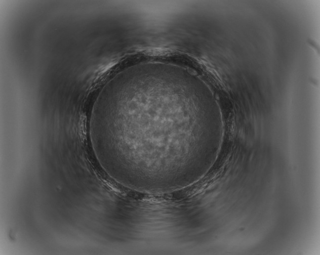 X0000091461301200708231308