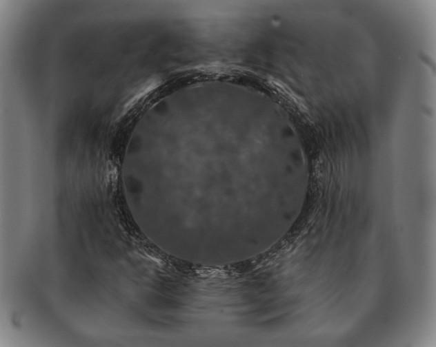 X0000091461302200708231308