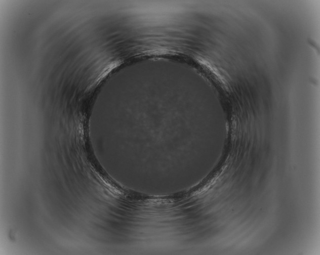 X0000091461305200708231308