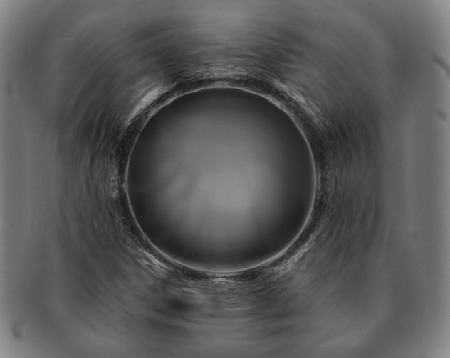 X0000091461306200708231308