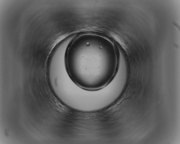 X0000091461308200708231308