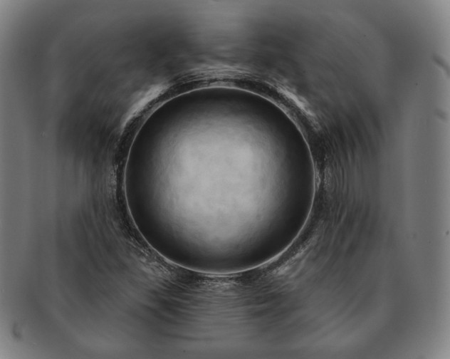 X0000091461309200708231308