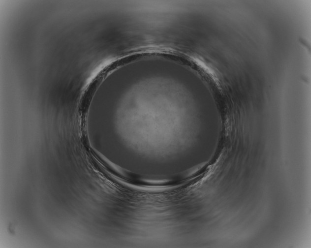 X0000091461310200708231308