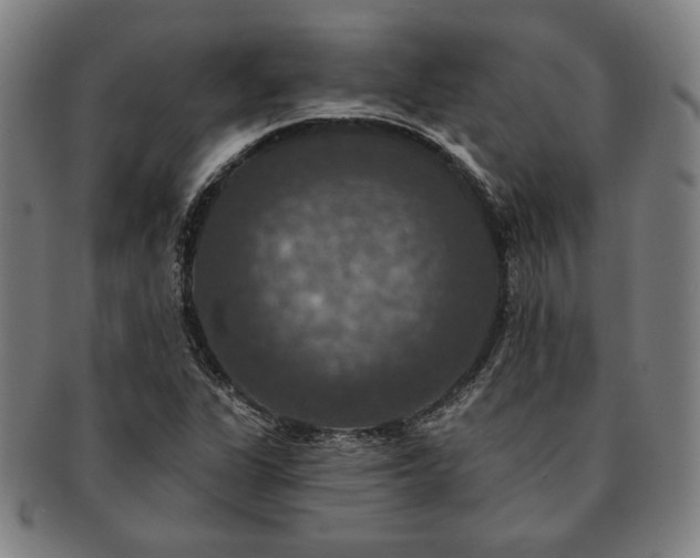 X0000091461311200708231308