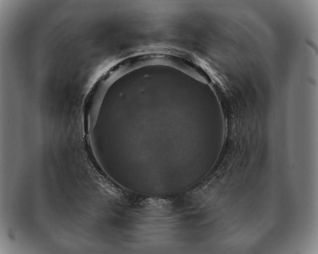 X0000091461312200708231308