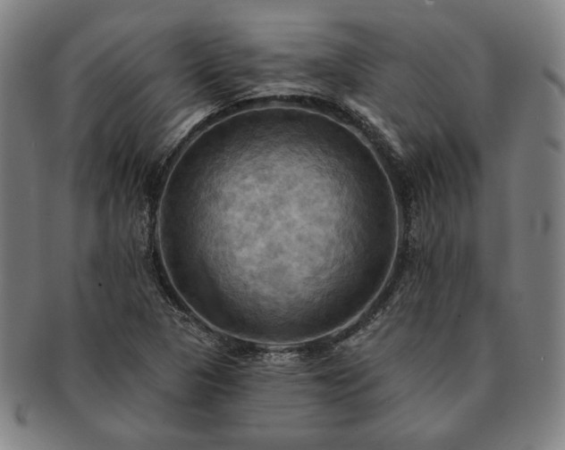 X0000091461313200708231308