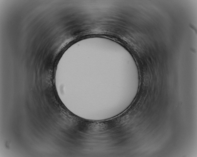 X0000091461314200708231308