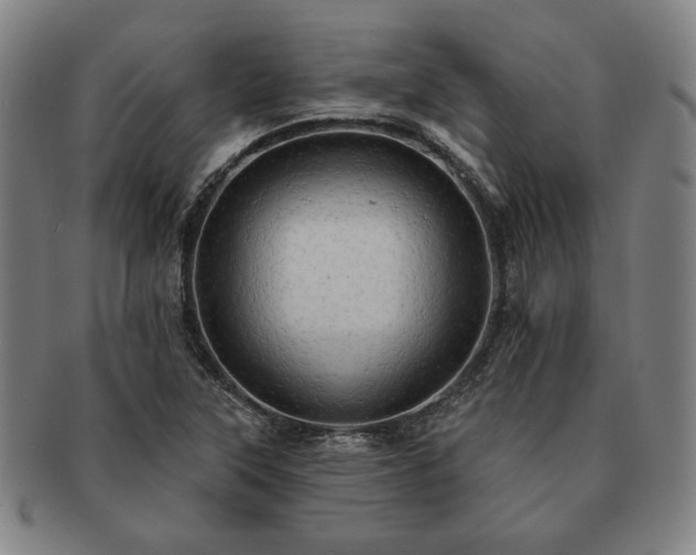 X0000091461315200708231308