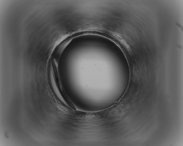 X0000091461316200708231308