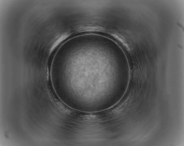 X0000091461317200708231308