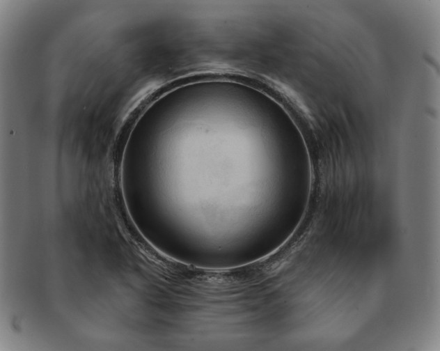 X0000091461318200708231308