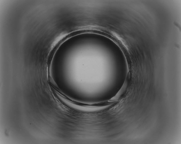 X0000091461320200708231308