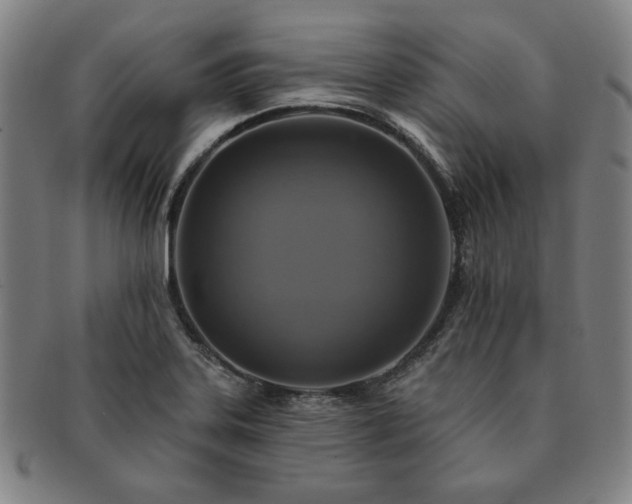 X0000091461323200708231308