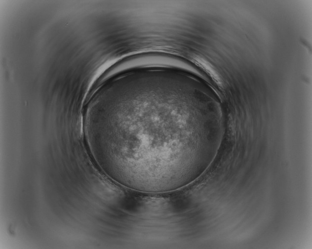 X0000091461324200708231308