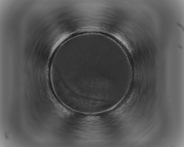 X0000091461325200708231308