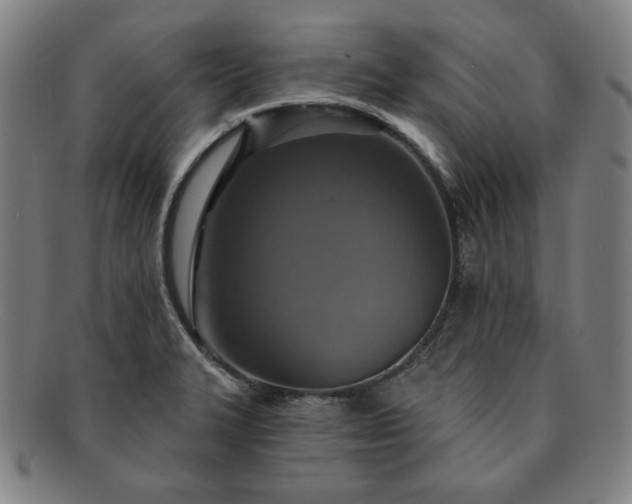 X0000091461327200708231308