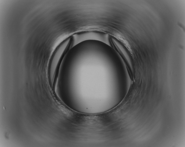 X0000091461328200708231308