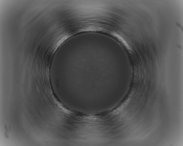 X0000091461329200708231308