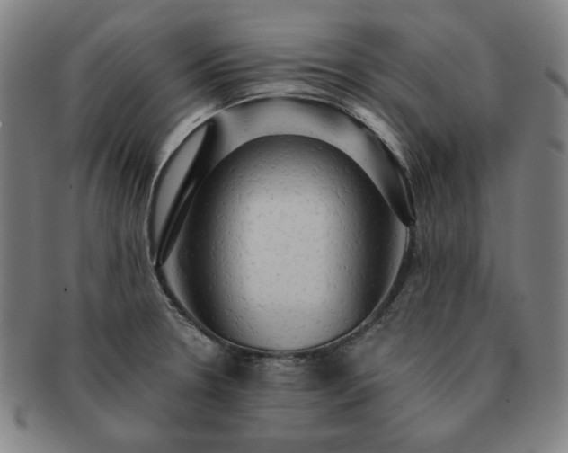 X0000091461330200708231308
