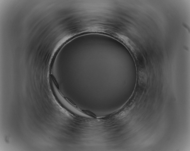 X0000091461331200708231308