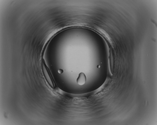 X0000091461332200708231308