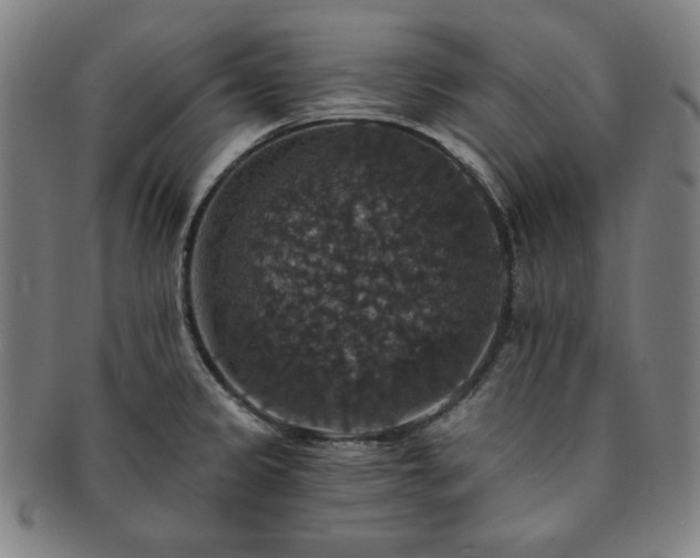 X0000091461333200708231308