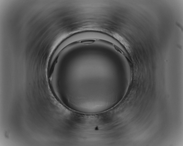 X0000091461334200708231308