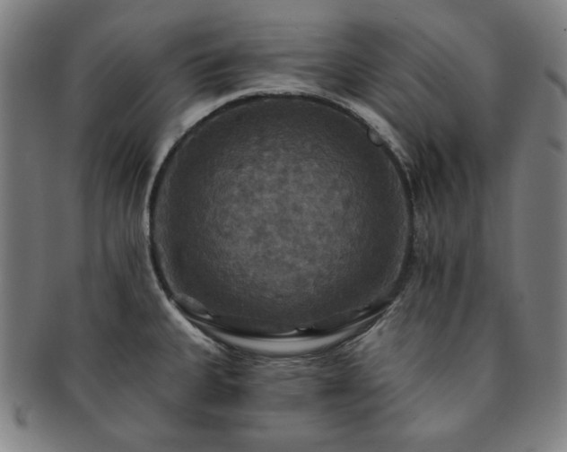 X0000091461335200708231308