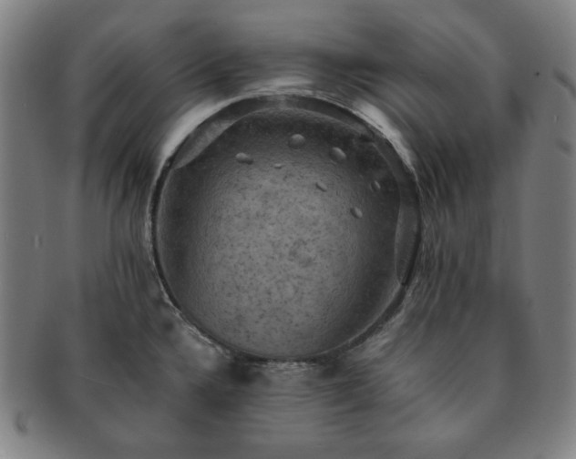 X0000091461336200708231308